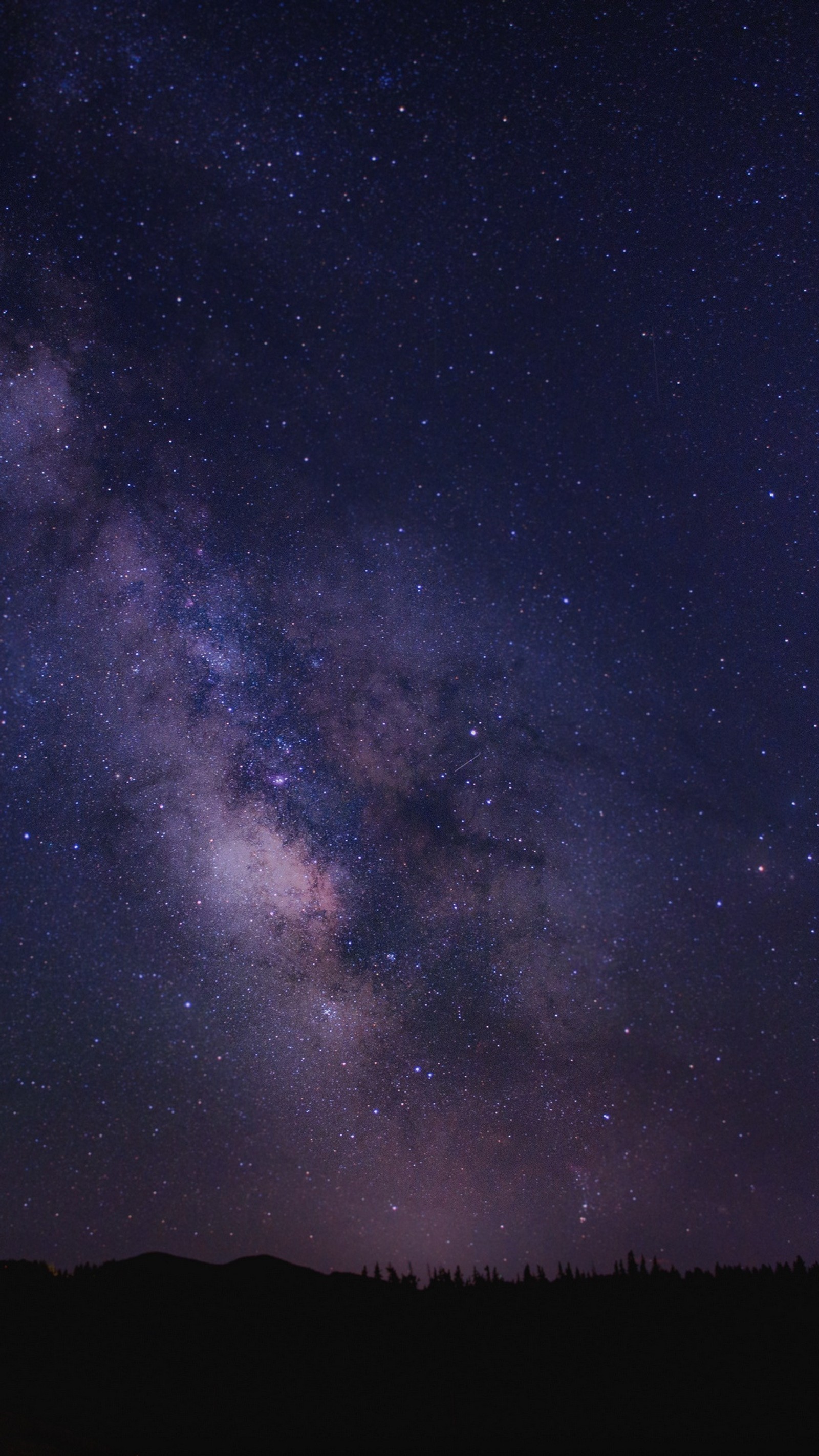 Céu noturno estrelado com algumas estrelas e algumas árvores (galáxia, noite, céu, espaço, estrela)