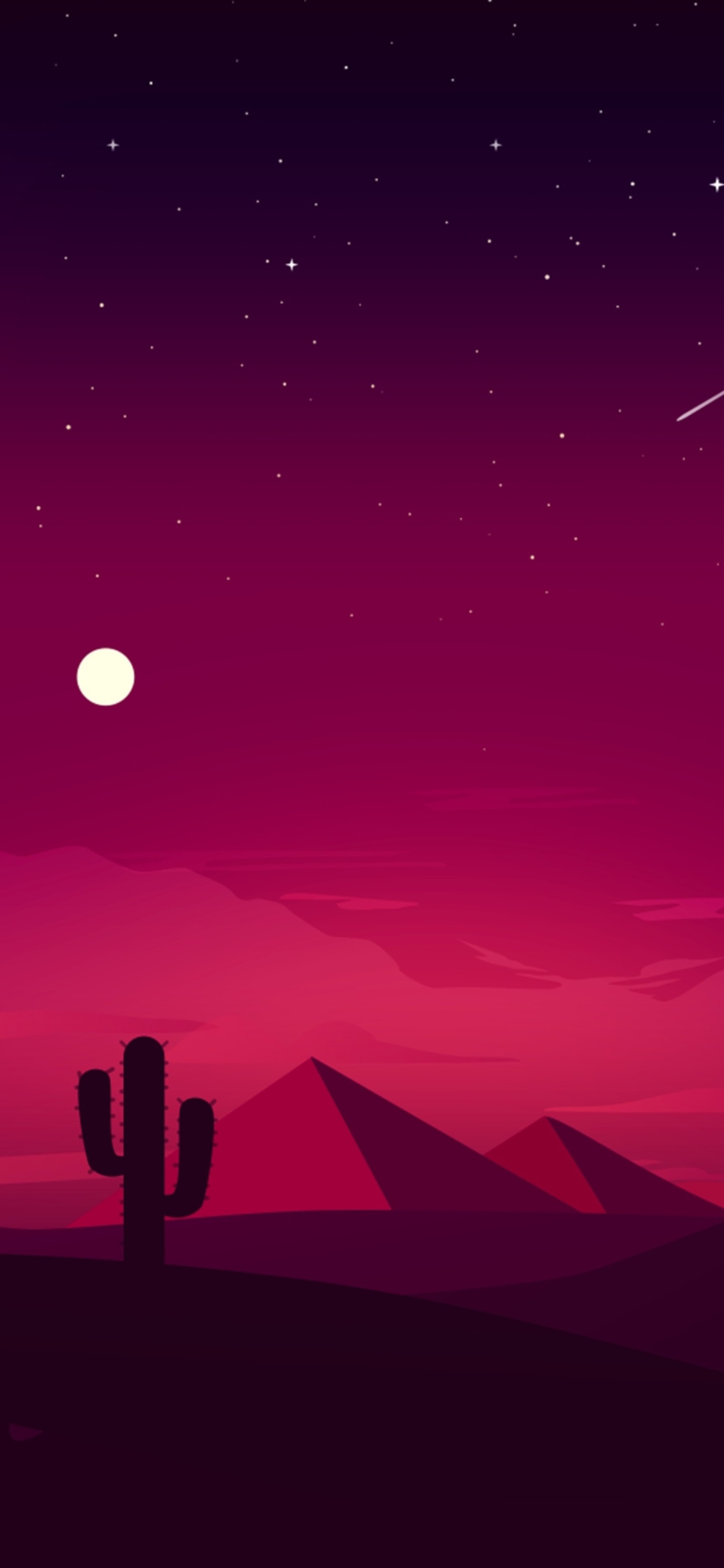 Night sky with stars and a cactus in the foreground (cactus, desert, red)