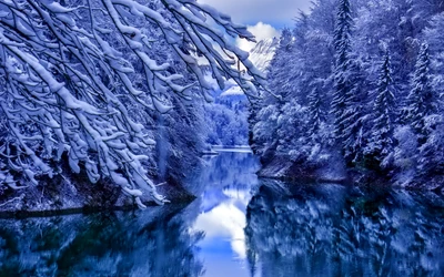 Rivière gelée reflétant des arbres couverts de neige sous un ciel bleu