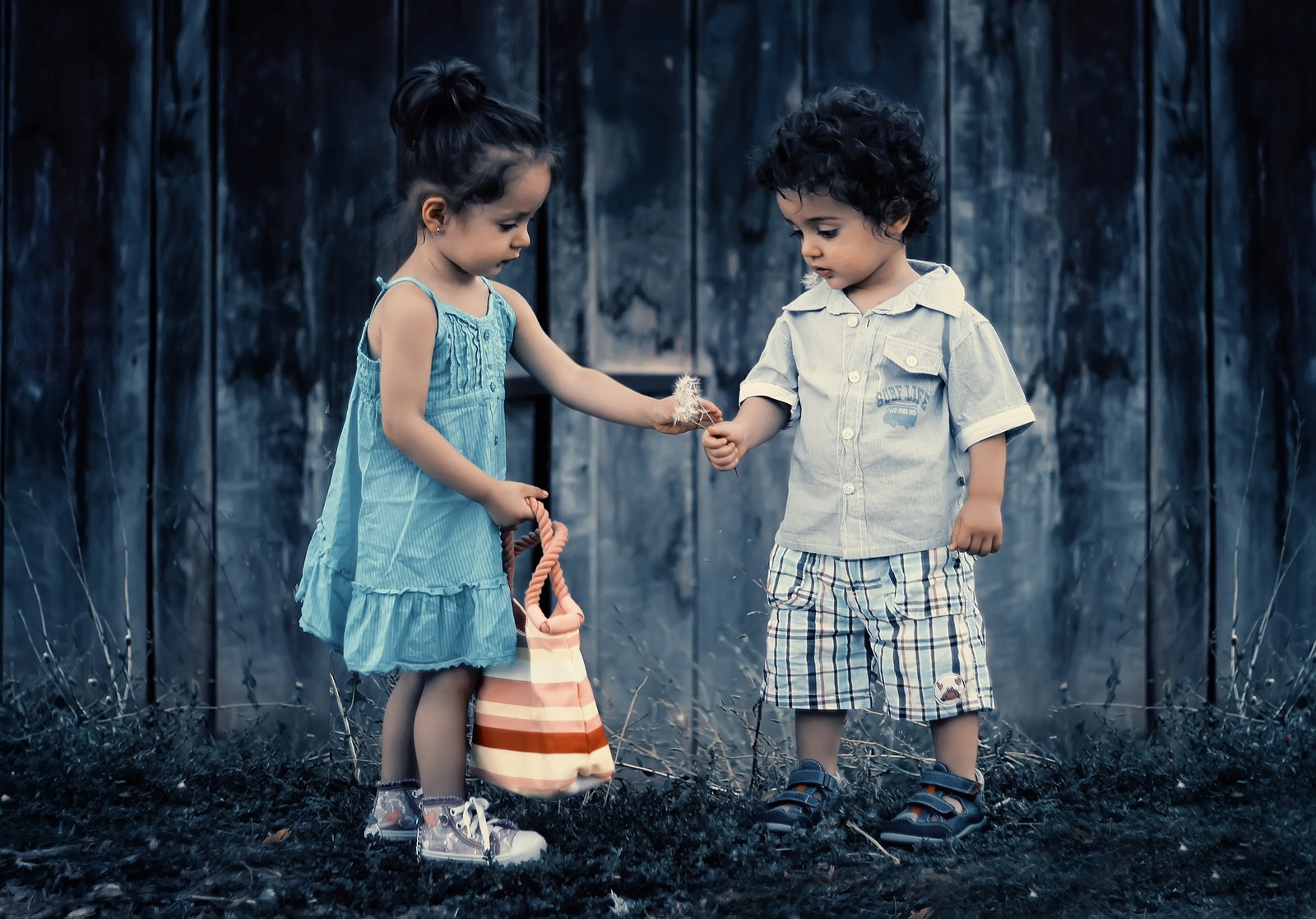 Deux petits enfants se tenant par la main devant une clôture en bois (fille mignonne, garçon mignon, enfants mignons, enfants jouant, tout petits)