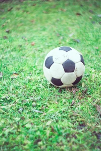 balle, football, objectif, ballon de football, herbe