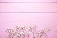 Delicate white blossoms arranged along a soft pink wooden surface, evoking a serene spring ambiance.