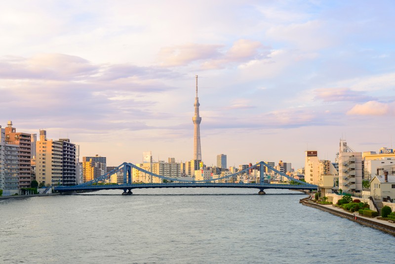 Панорамный мост через реку с городом на фоне (токийская башня, tokyo tower, город, горизонт, городской пейзаж)