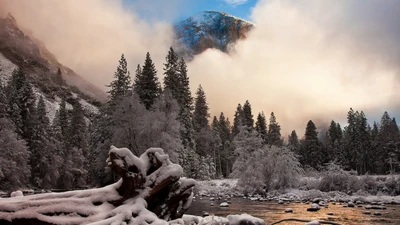 nieve, invierno, naturaleza, desierto, formas montañosas