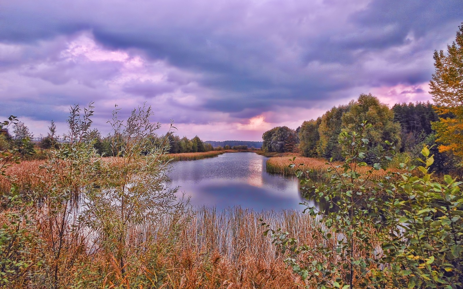 Vogelperspektive auf einen see, umgeben von hohem gras und bäumen (reflexion, natur, wasser, wolke, wildnis)