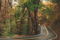 Route sinueuse à travers le paysage forestier d'automne