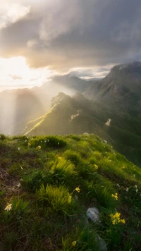 Paysage de haute terre ensoleillé avec des fleurs sauvages au milieu de montagnes majestueuses