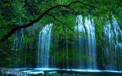 Cascata serena caindo através da vegetação exuberante em uma reserva natural