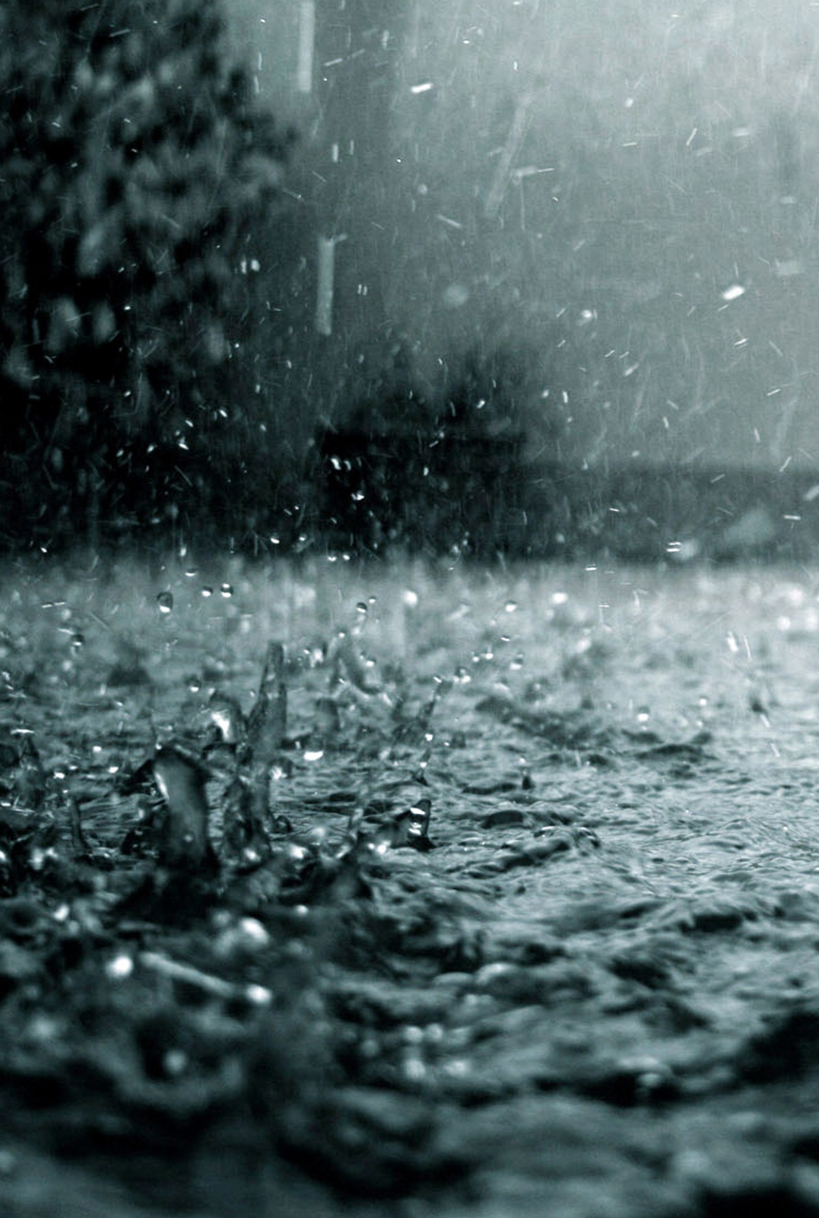 There is a black and white photo of a rain storm (drops, nature, rain)