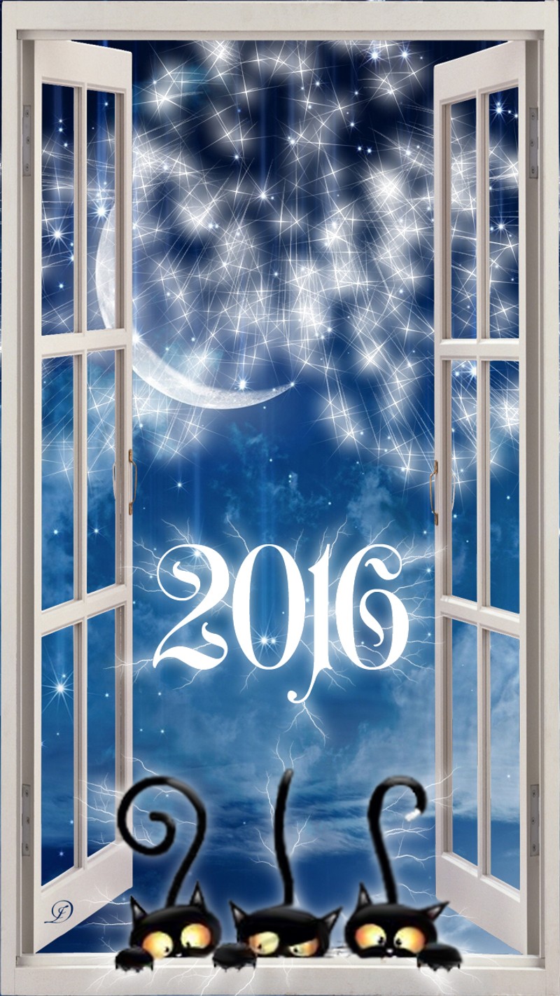 Un primer plano de una ventana con un gato y una luna (2016, fuegos artificiales, nuevo año, noche, cielo nocturno)