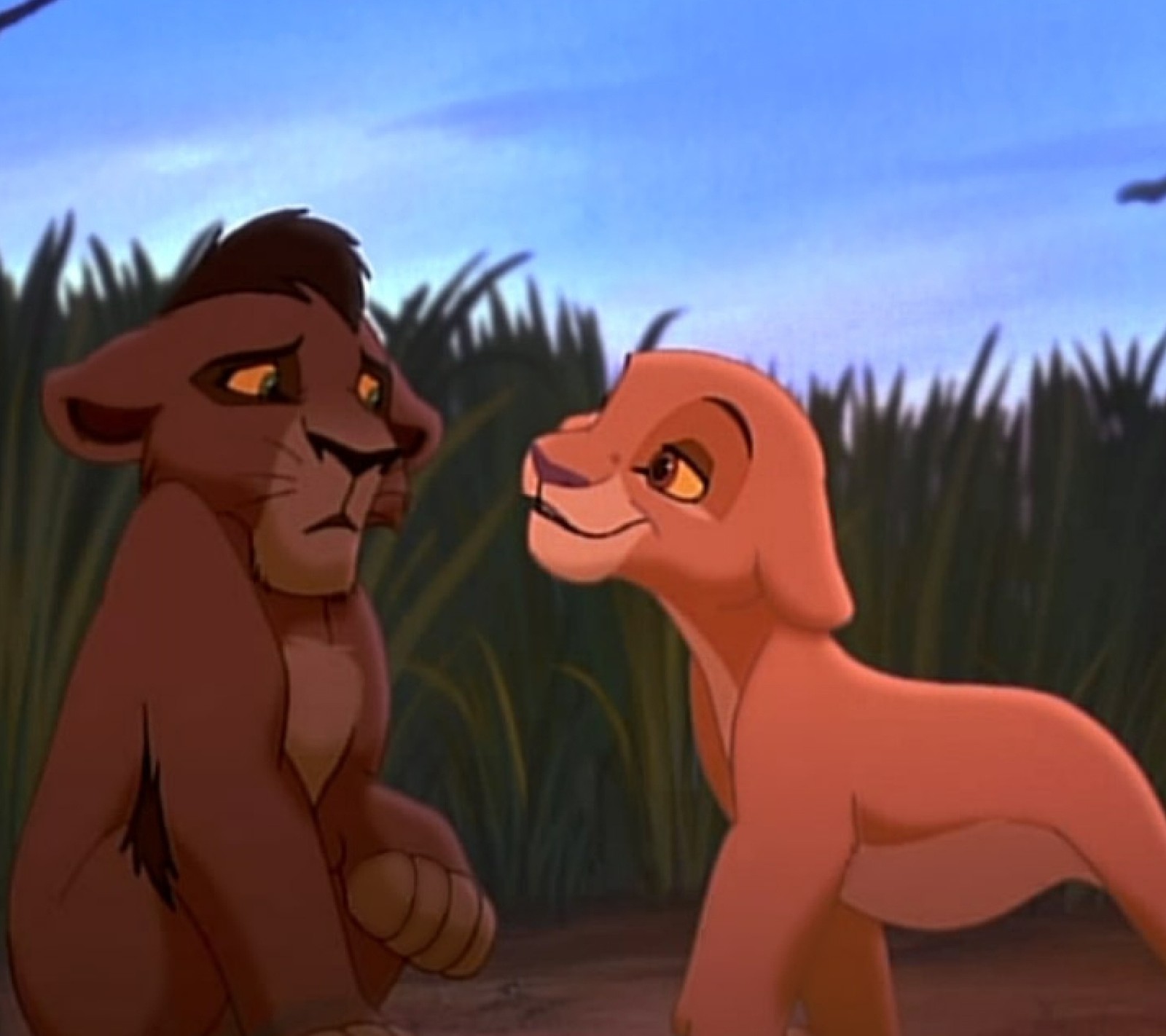 A close up of a lion and a dog in a field (cartoons, the lion king)