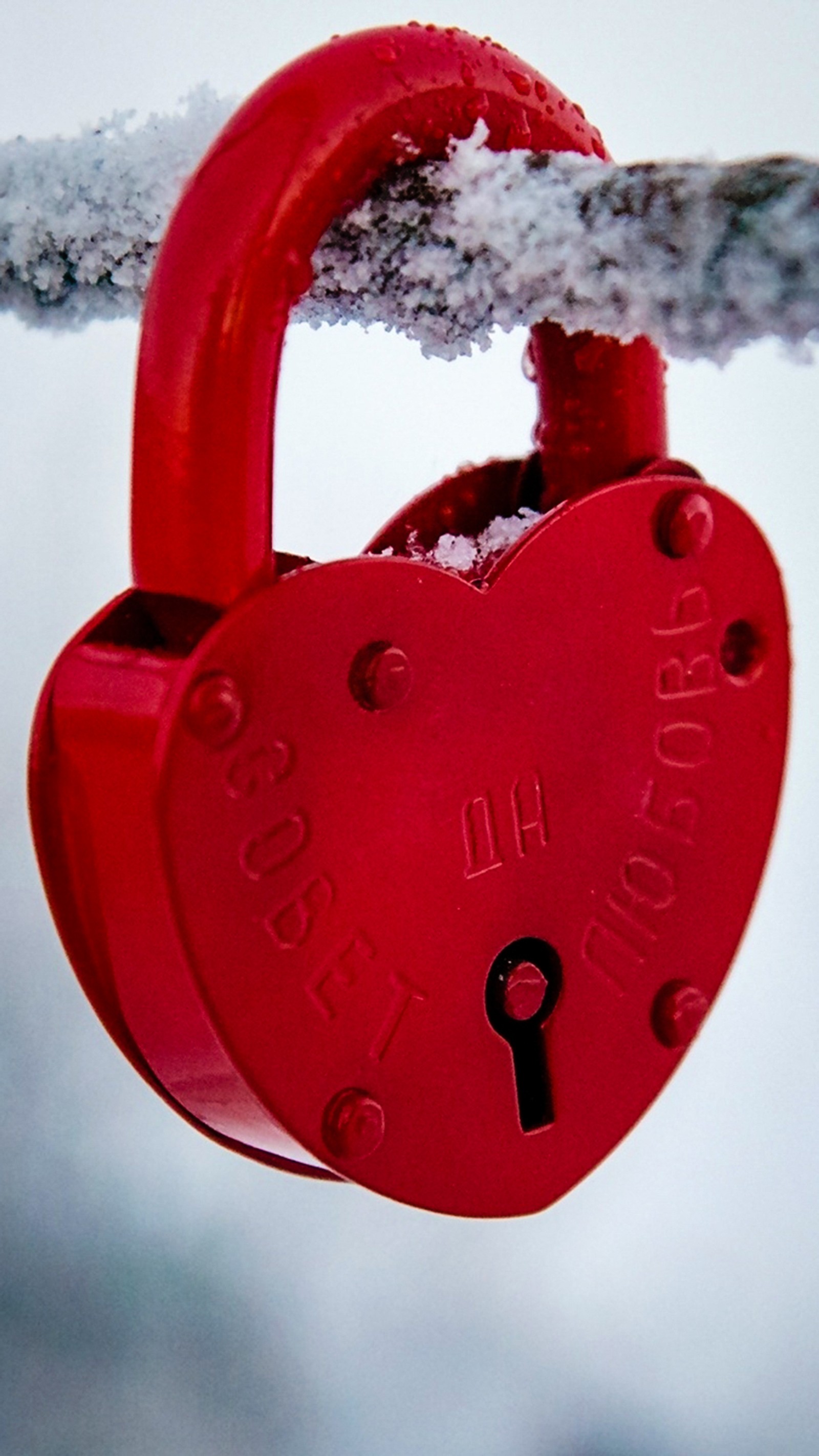 Un candado rojo en forma de corazón en un alambre nevado (corazón, cerradura, amor)