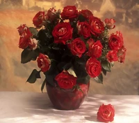 flower, nature, red, roses wallpaper