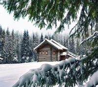 Cozy log cabin nestled in a snowy forest landscape.