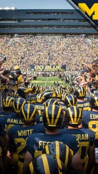 big house, míchigan, michigan, michigan wolverines, ncaaf