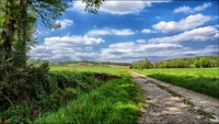 cloud, grassland, vegetation, field, sky wallpaper