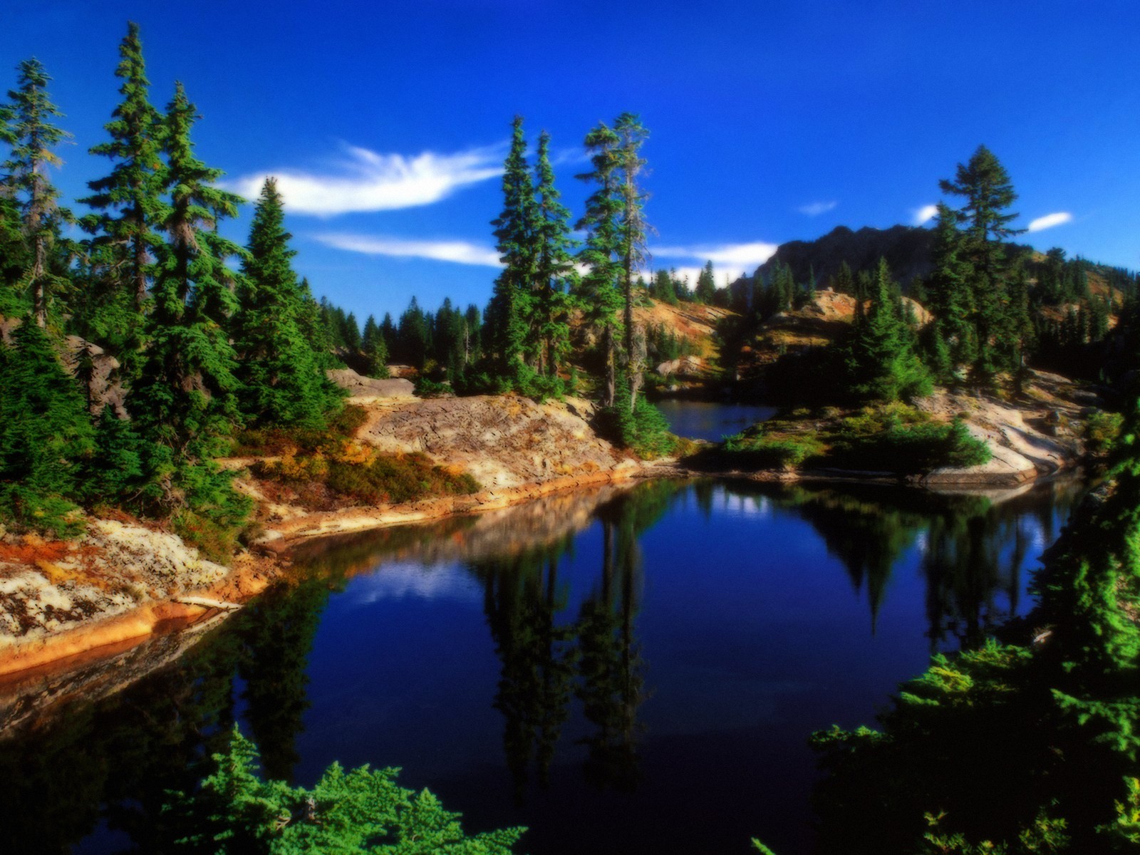 Les arbres poussent au bord d'un lac dans les montagnes (nature, réflexion, sauvage, eau, lac)