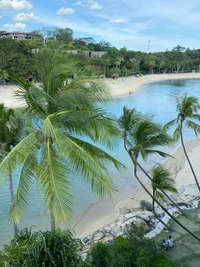 Oasis de playa tropical con exuberantes palmeras y aguas serenas