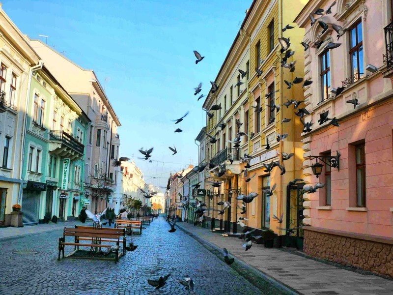 Голуби, летающие над мощеной улицей в городе (львов, окрестности, город, улица, дорога)