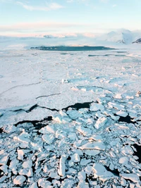 Amplio paisaje de hielo marino ártico con icebergs derritiéndose