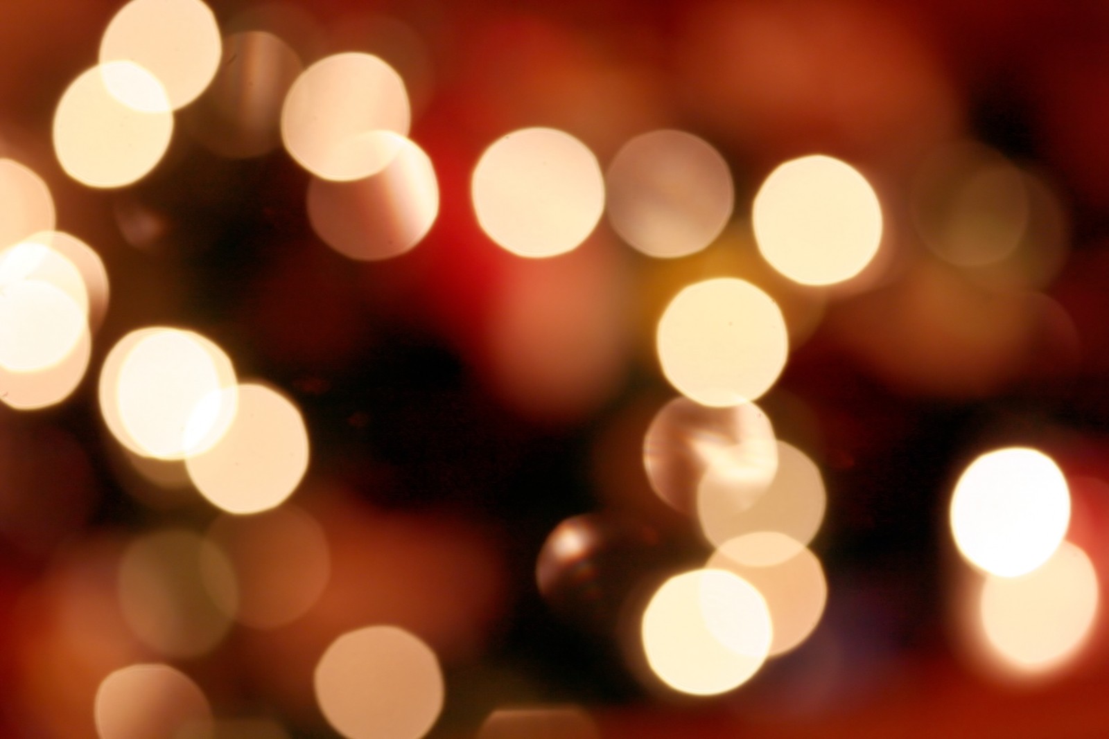 A close up of a christmas tree with many lights in the background (light, christmas lights, lighting, color)