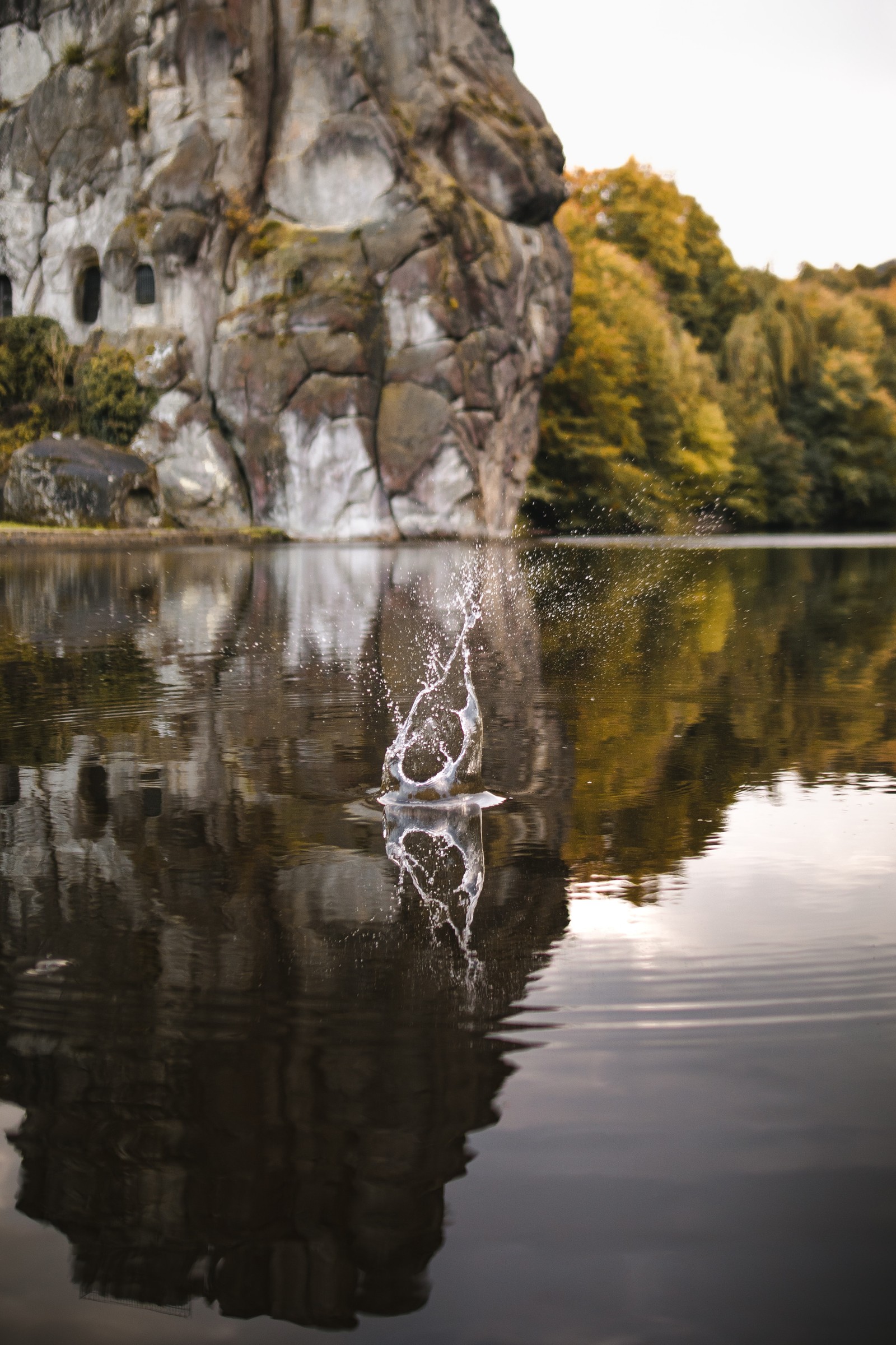 Hay un pájaro volando en el agua cerca de una roca (reflexión, árbol, roca, naturaleza, estanque)