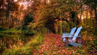 Tranquil Autumn Reflection by the Water