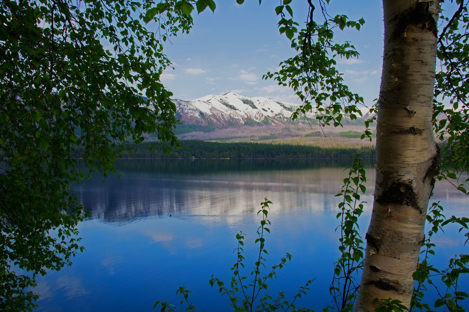 Vue aérienne d'un lac avec une montagne en arrière-plan (arbre, bouleau, nature, réflexion, lac)