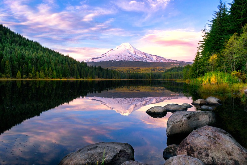 Арафед гора, отражающаяся в озере с камнями и деревьями (trillium lake, гора худ, mount hood, сосны, лес)