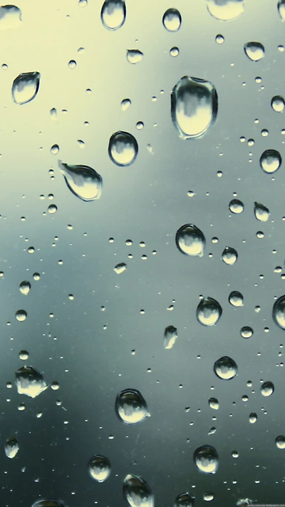 drops, glass, rain