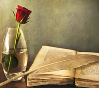 Elegantes Stillleben: rote Rose, offenes Buch und Feder