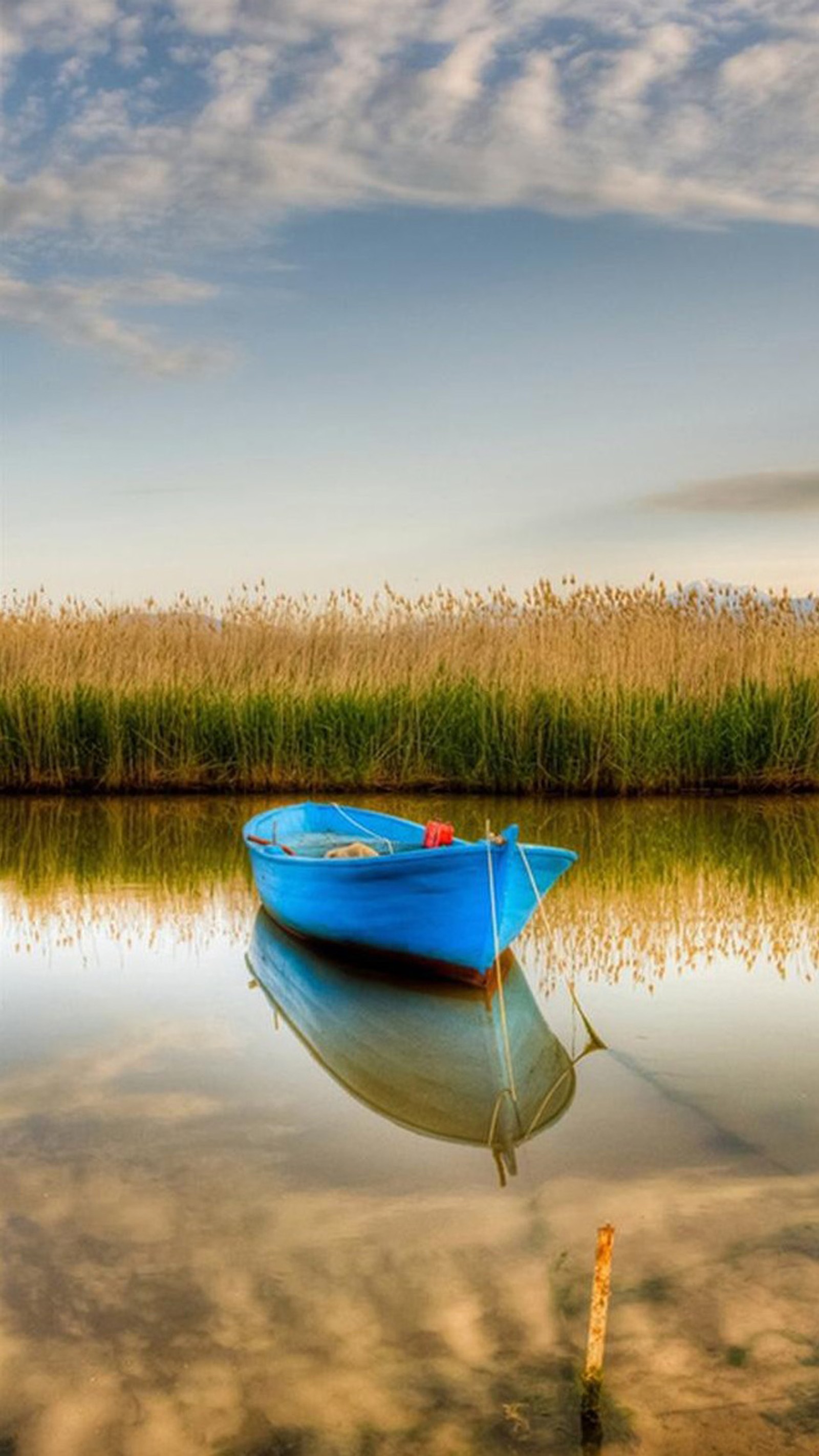 Descargar fondo de pantalla verde, naturaleza