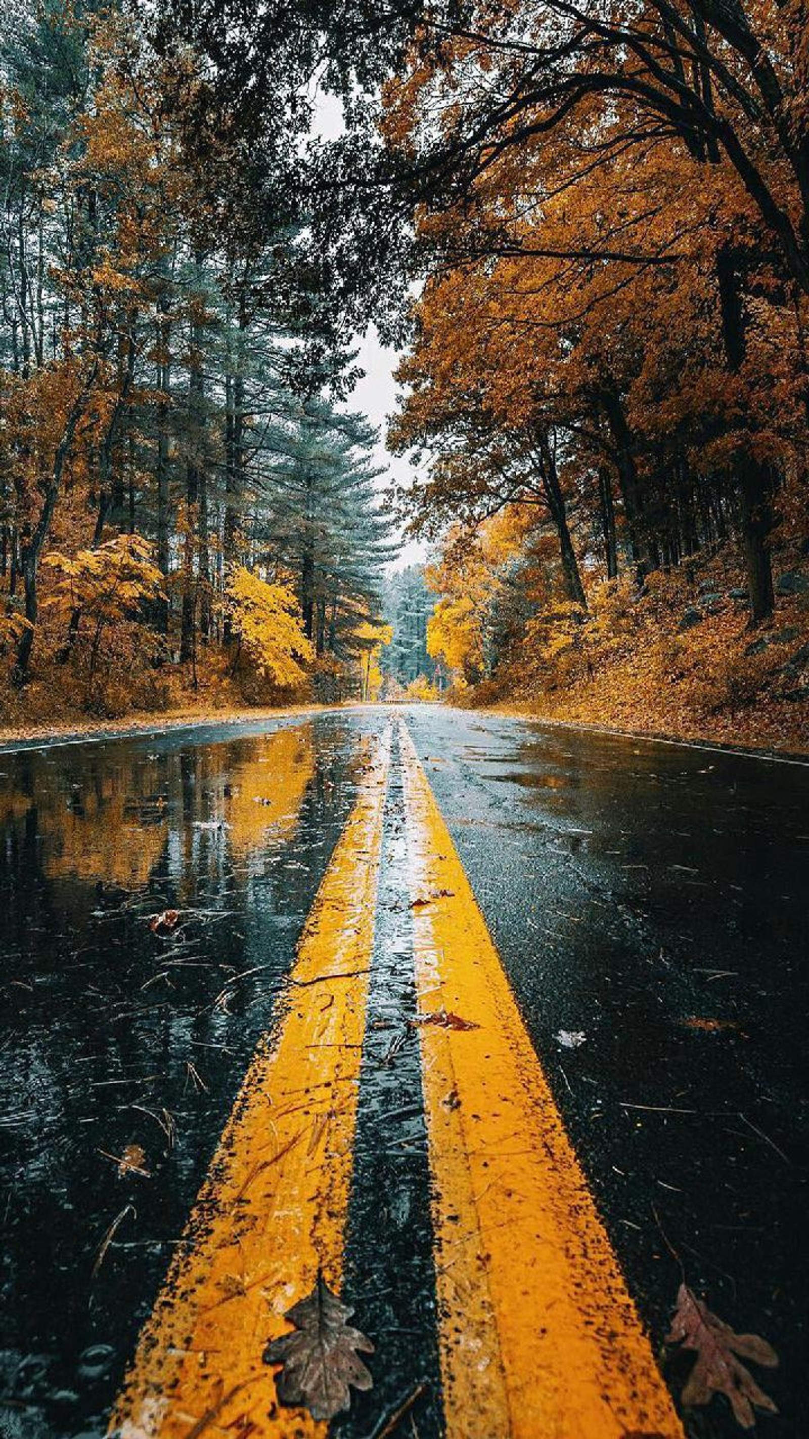 A road with yellow lines in the middle of it (telefon, walpapper)