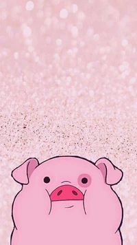 animal, pig wallpaper