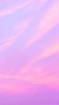 fondo, minimalista, naturaleza, al aire libre, rosa