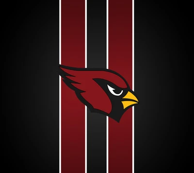 arizona cardinals, nfl