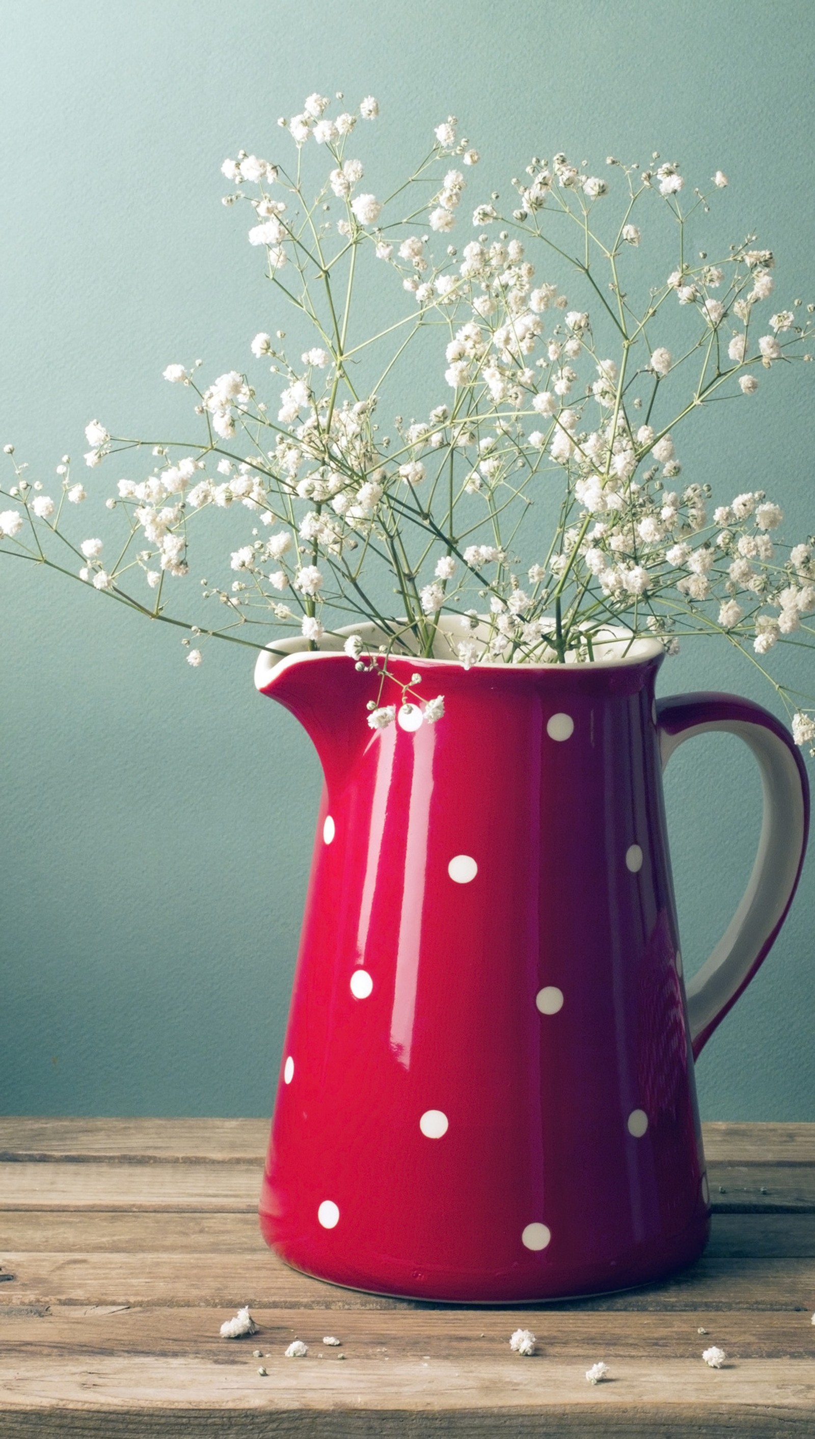 Há um jarro vermelho com bolinhas brancas segurando um buquê de flores (decent, elegante, flores, flores brancas)