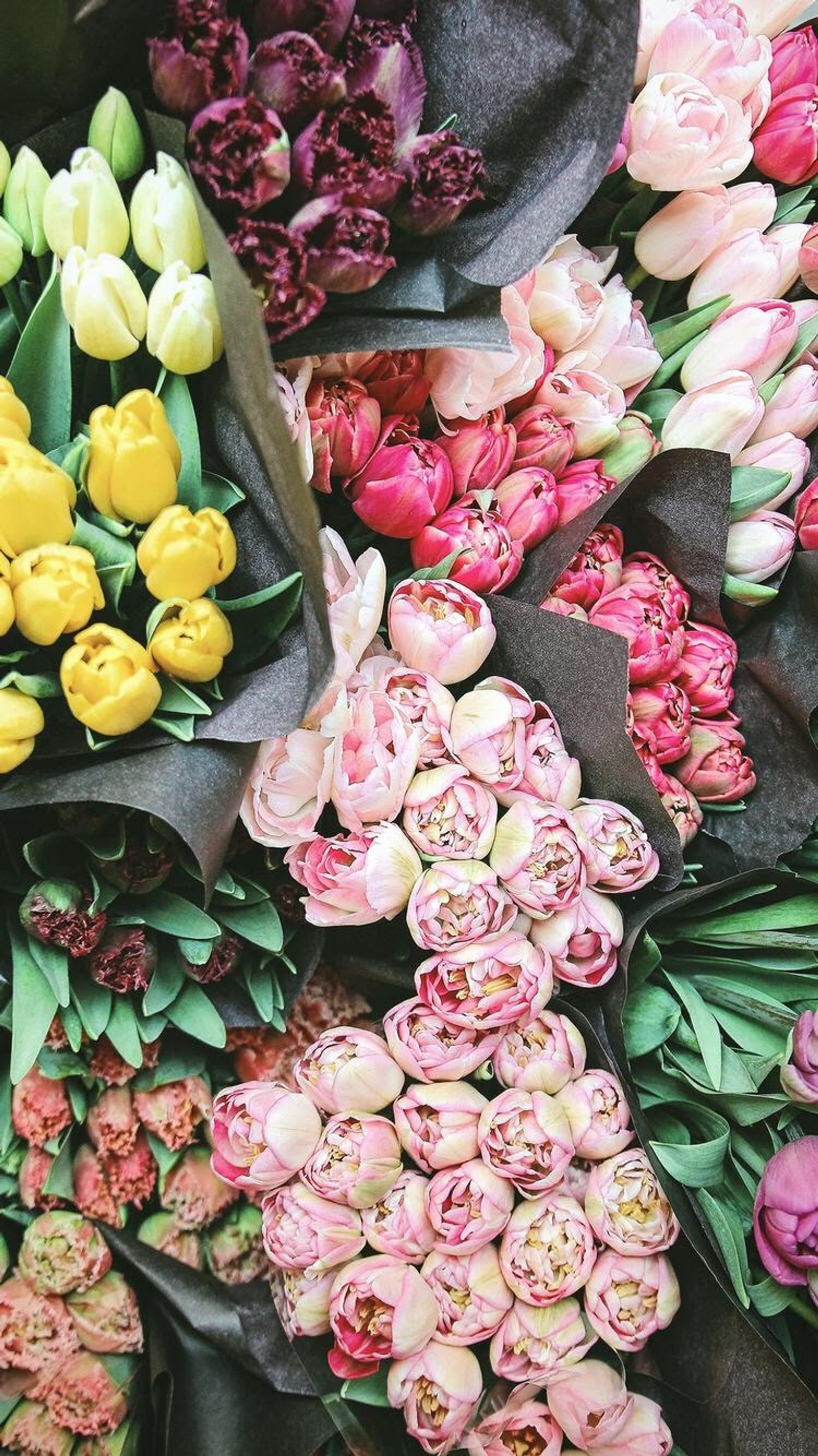 Há muitos tipos diferentes de flores neste buquê (colorido, flores, natureza)