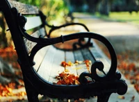 Springtime Bench Adorned with Leaves