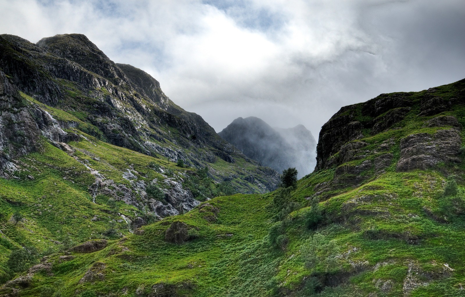 Eine kleine weiße kuh steht auf einer grasbewachsenen fläche (gebirgige landformen, hochland, berg, natur, valley)