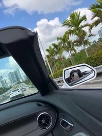 Compact Family Car on a Scenic Road with Palm Trees and City Skyline