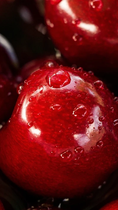 Freshly Harvested Cherry Fruit with Moisture-Drenched Surface