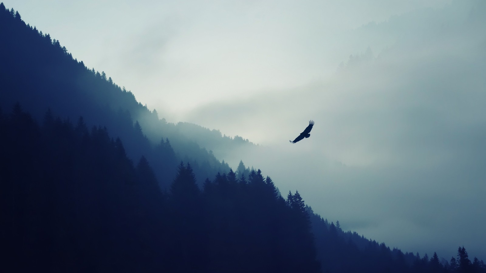 Há um pássaro voando no céu sobre uma montanha (montanha, floresta, árvores, cenário, natureza)