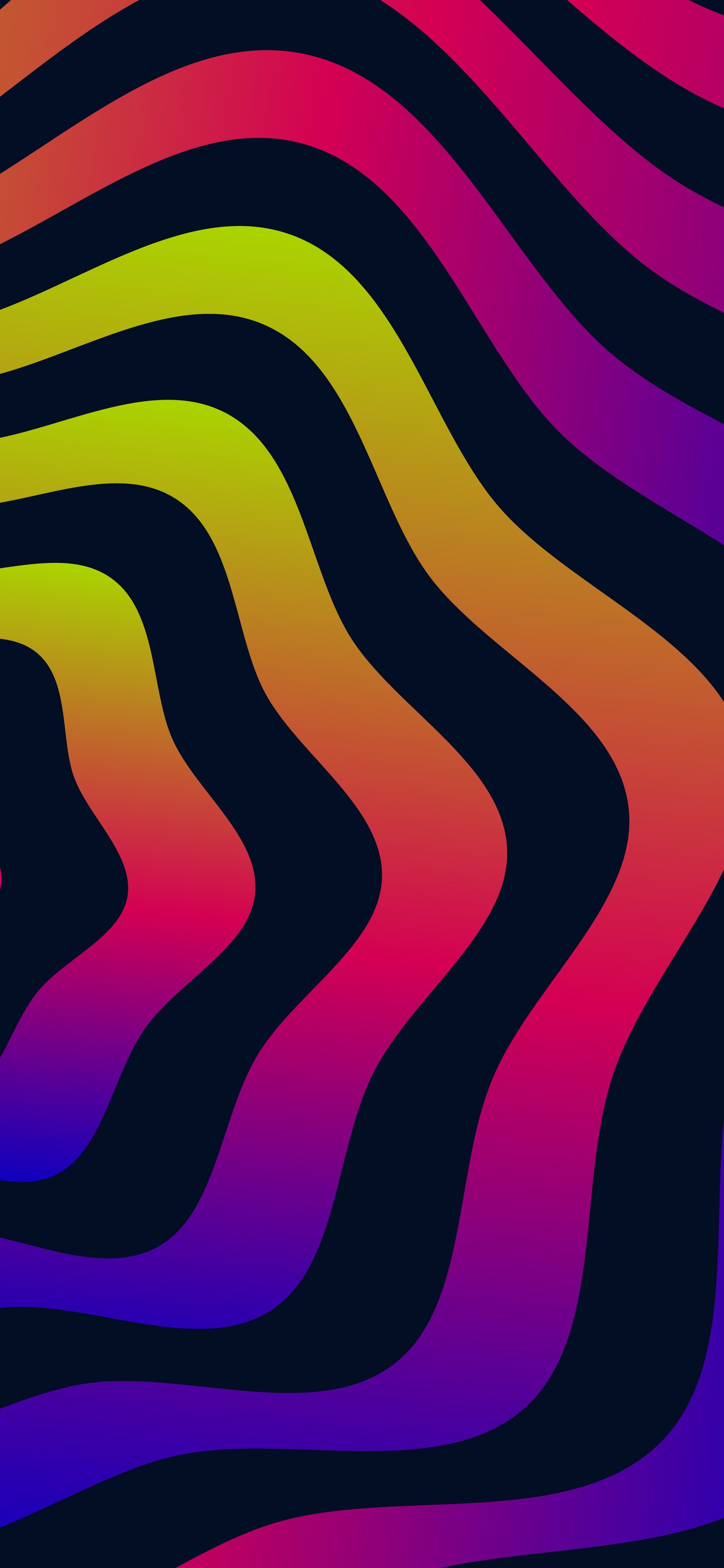 A close up of a colorful zebra pattern on a black background (visual arts, graphic design, colorfulness, purple, violet)