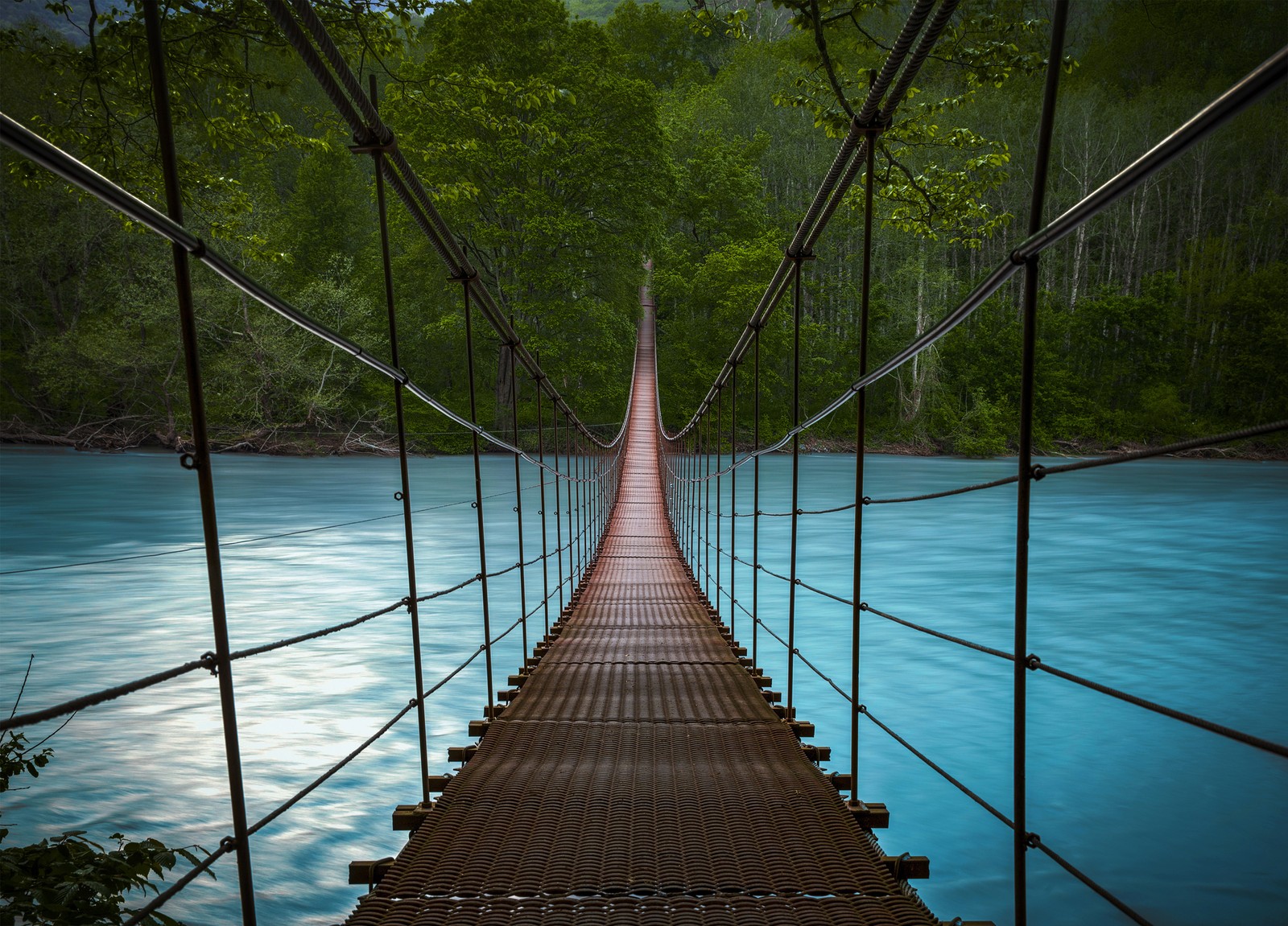 bridge, suspension bridge, water, tree, reflection wallpaper