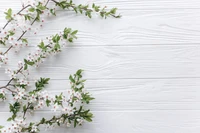 Delicate White Blossoms on a Rustic Wooden Background