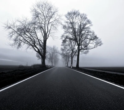 black, nature, road