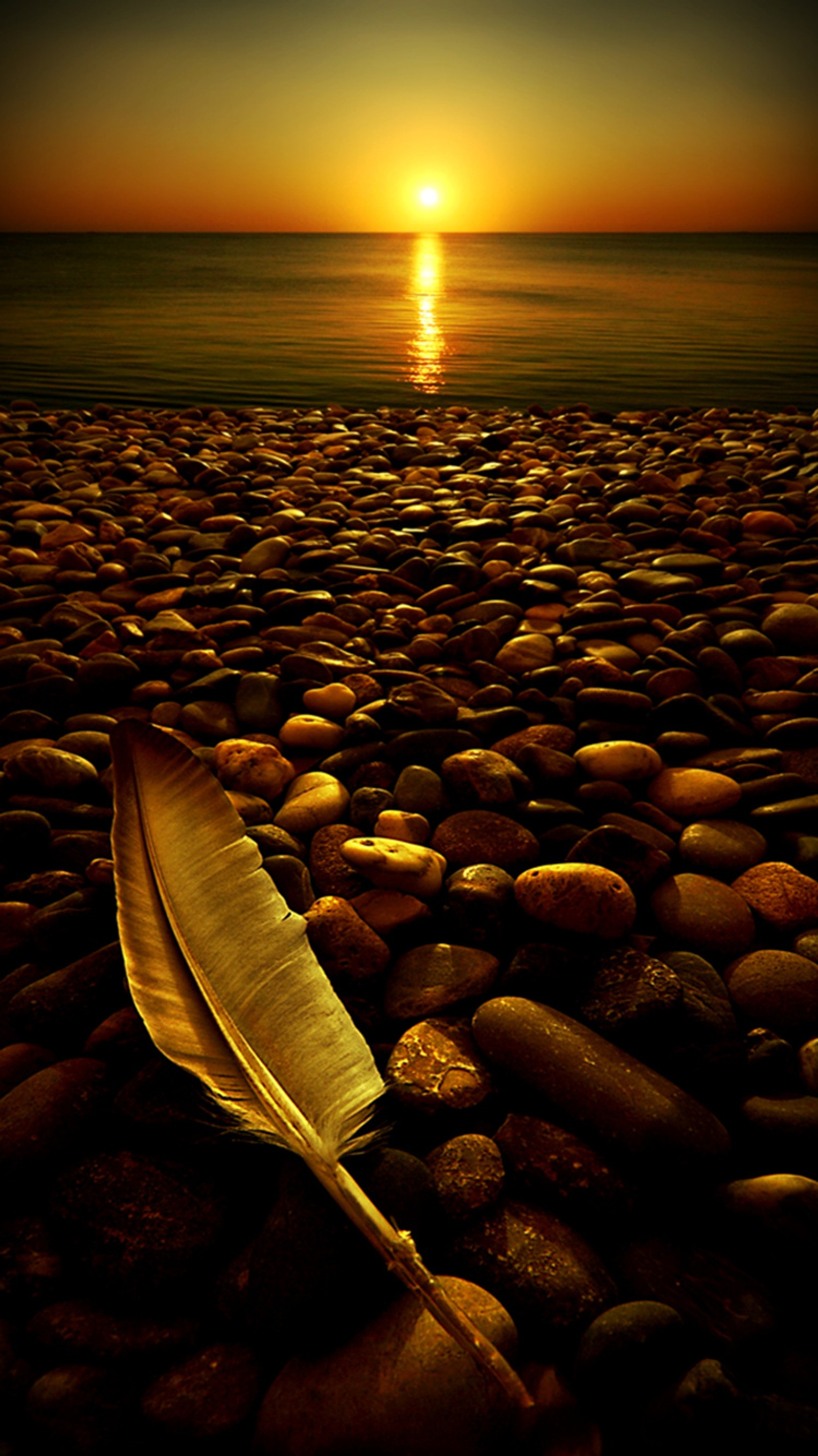 Uma pena malhada descansando em uma praia de seixos ao pôr do sol (praia, mar, por do sol)