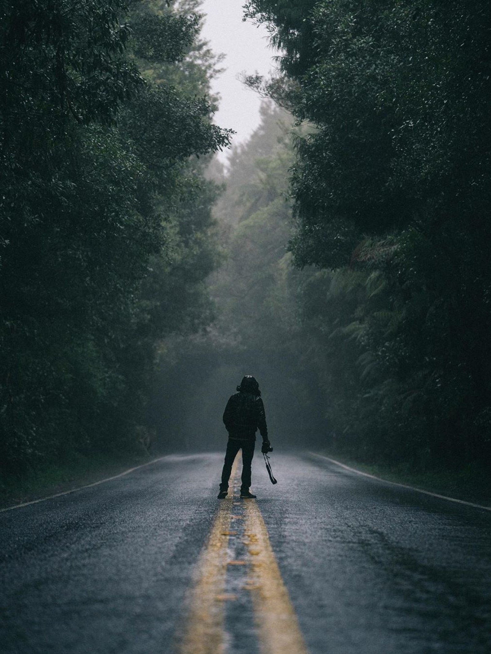 Descargar fondo de pantalla solo, oscuro, juego, naturaleza, camino