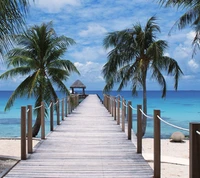 Muelle de playa tropical rodeado de palmeras